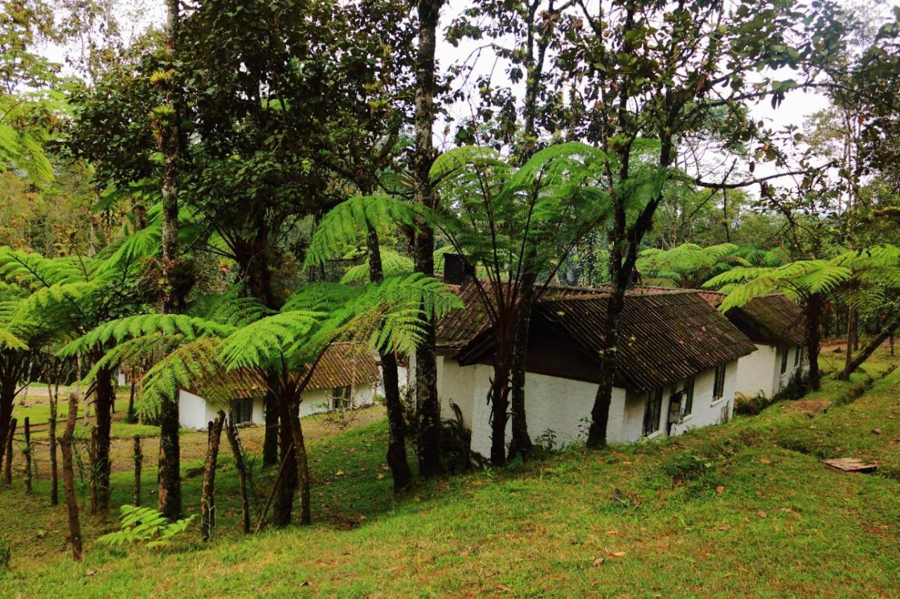 Posada Montana Del Quetzal Hotel Coban Exterior photo